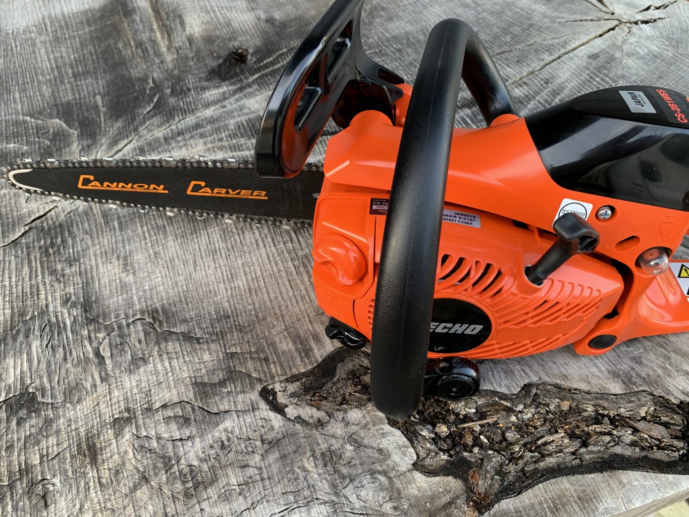 Echo CS281 WES 16