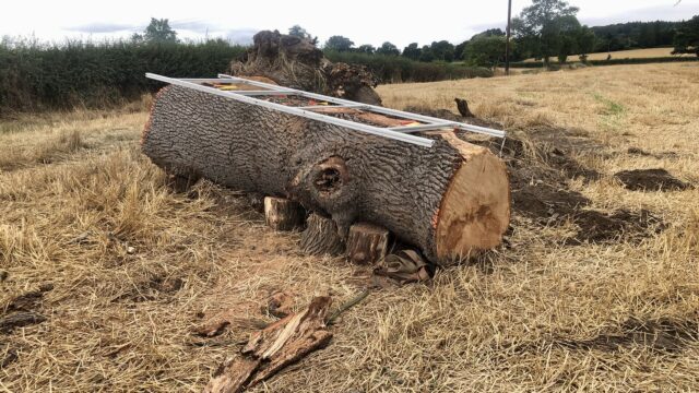 PC-4-W Panther 13'[4.0m] Comprehensive First Cut Track System for Logs up to 3.5m 28"[70cm] WIDE VERSION - Image 2