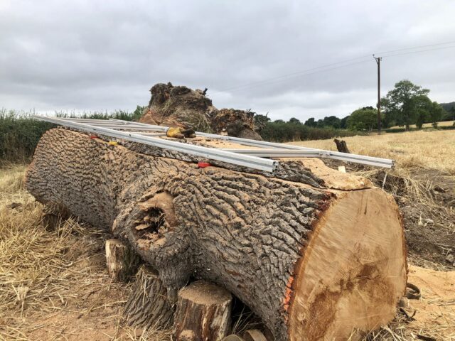 PC-4-W Panther 13'[4.0m] Comprehensive First Cut Track System for Logs up to 3.5m 28"[70cm] WIDE VERSION - Image 3