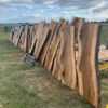 PM60-GB64 Panther Horizon Heavy Chainsaw Mill 60"[155cm] WITH GB 64"[163cm] Milling Bar .404 .063 180 drive links - Image 25