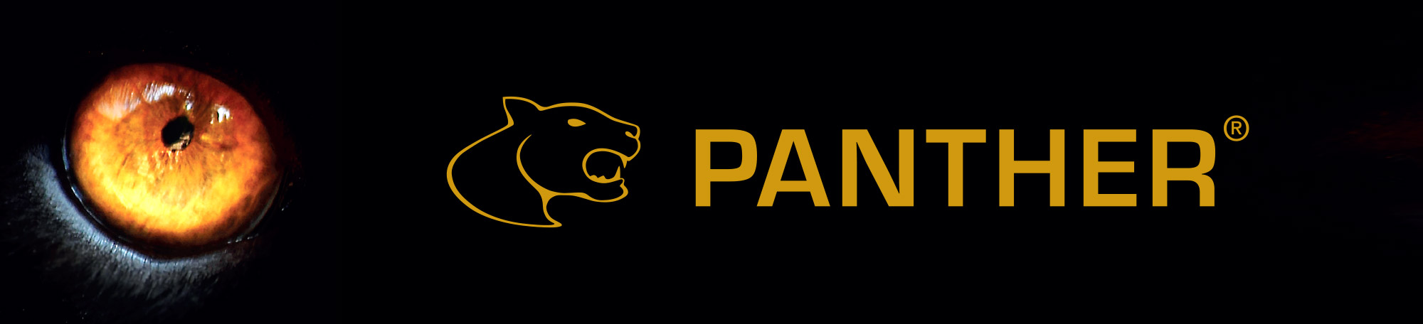 Panther-chainsaw-mills-logo