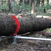 WCT0X Woodchuck TimberPro - Image 3